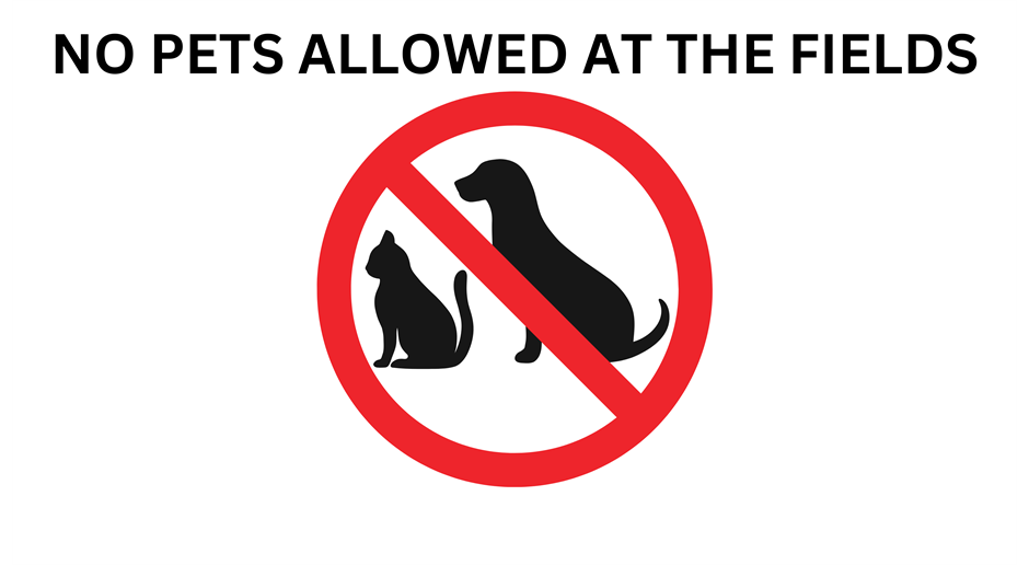 No Pets Allowed